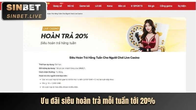Giới thiệu nền tảng kf94